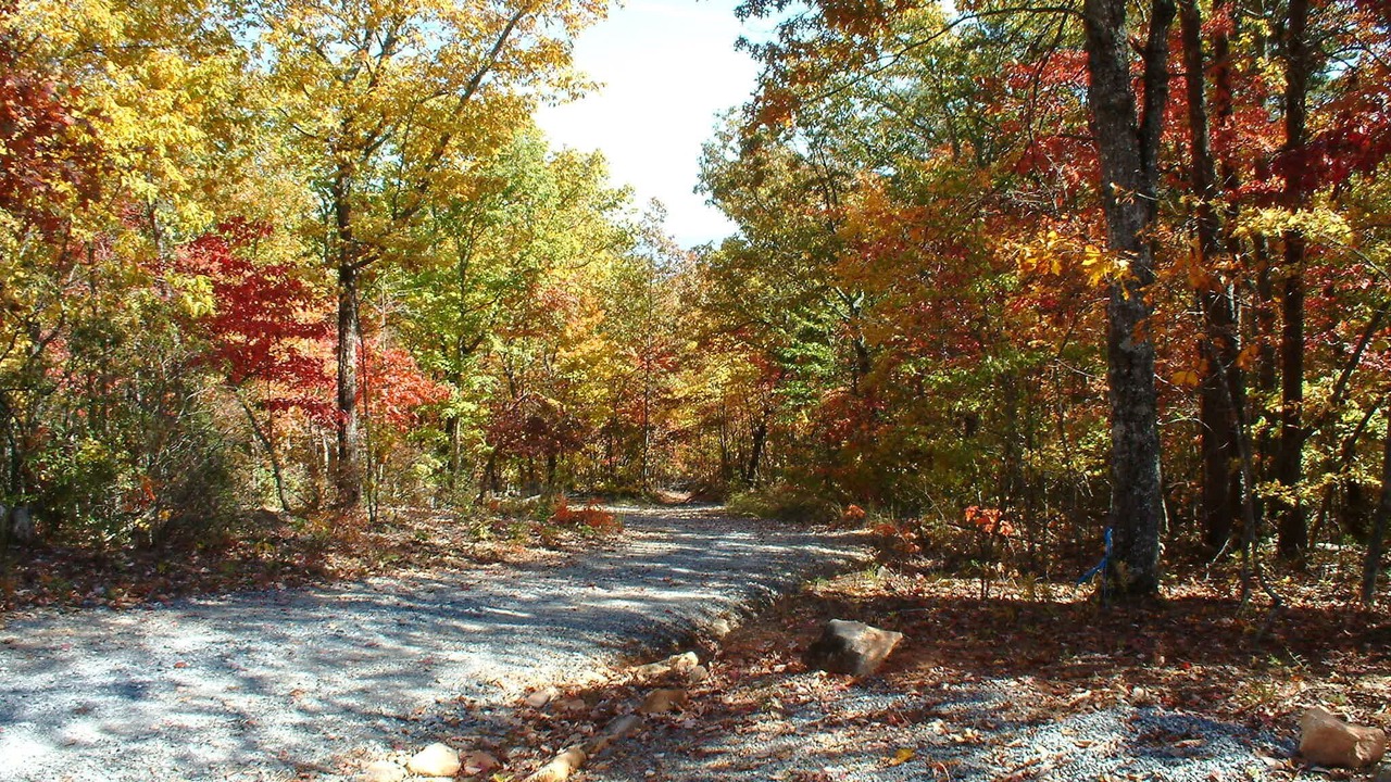 Photo of Outdoor in Ellijay