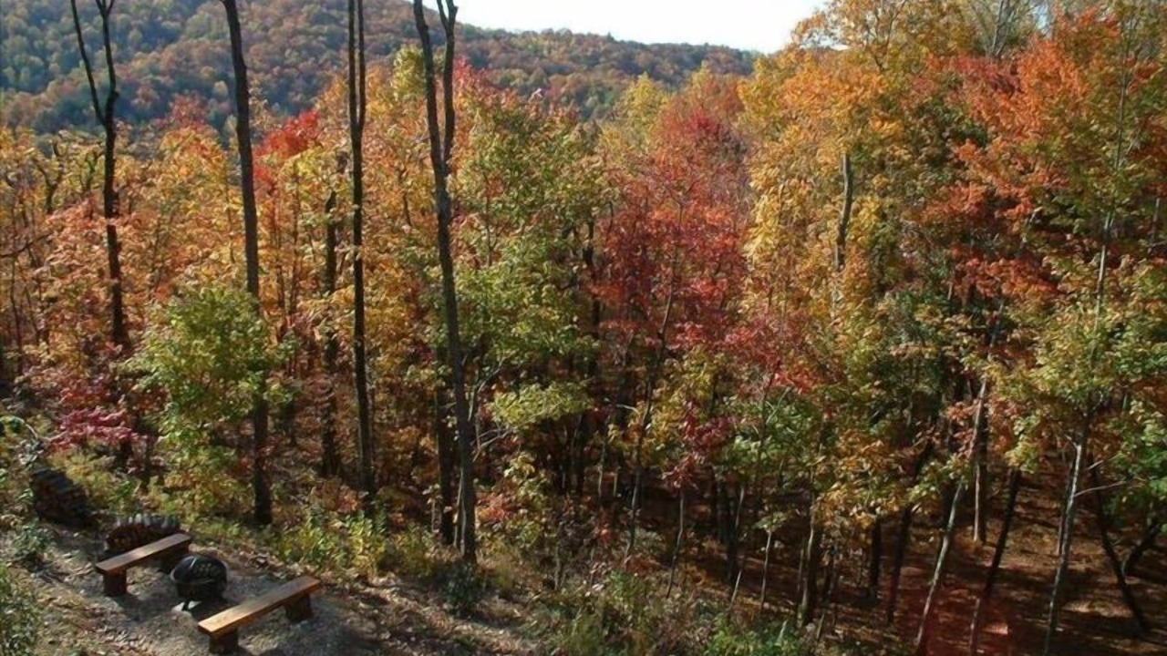 Photo of Others in Ellijay