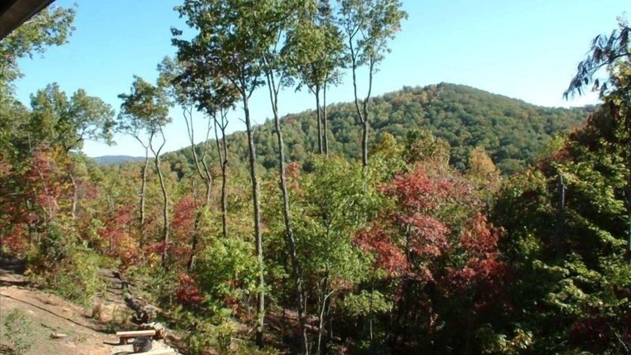 Photo of Outdoor in Ellijay