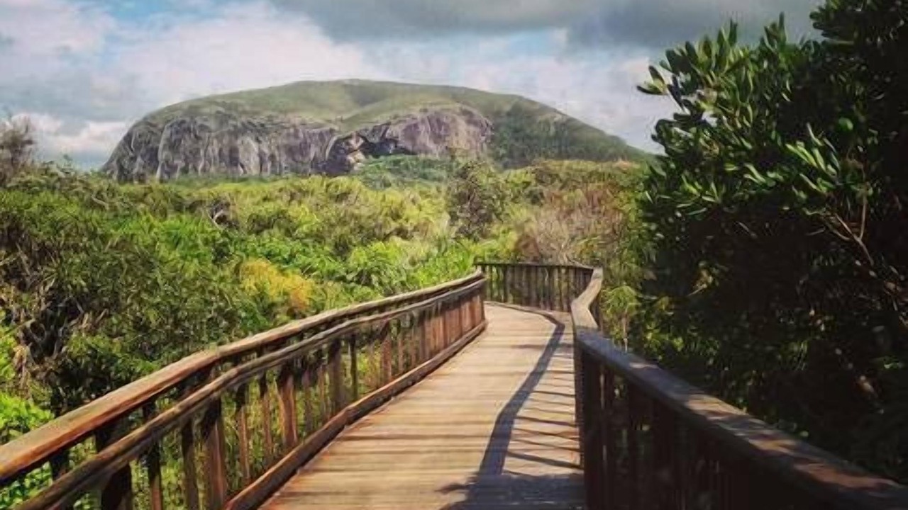 Photo of Others in Mount Coolum