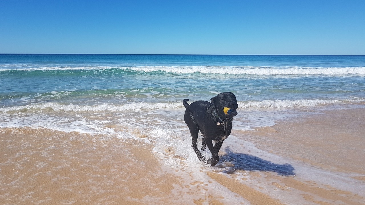 Photo of Others in Mount Coolum