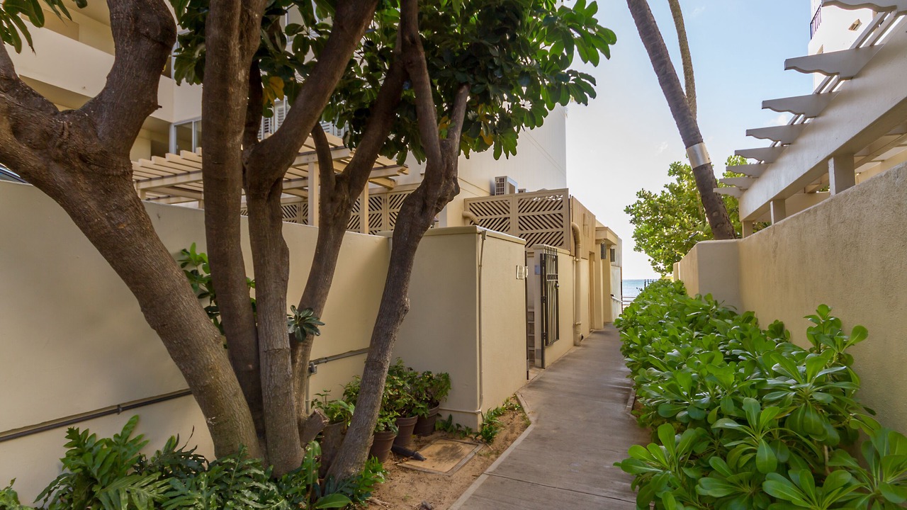 Photo of Others in Diamond Head - Kapahulu - St. Louis