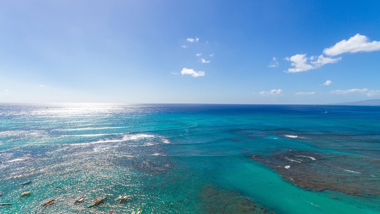 Photo of Others in Diamond Head - Kapahulu - St. Louis