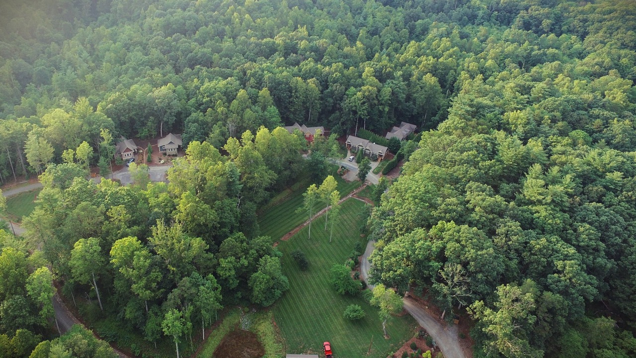 Photo of Others in Skyland