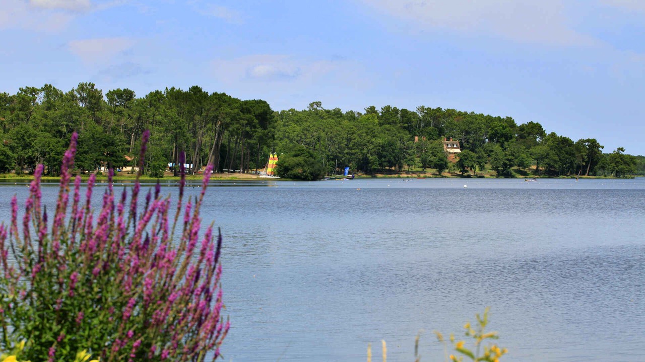 Photo of Others in Saint-Paul-en-Born