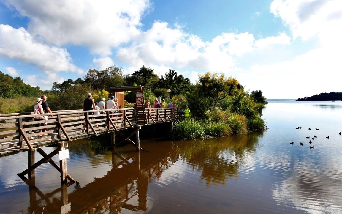 Photo of Outdoor in Saint-Paul-en-Born