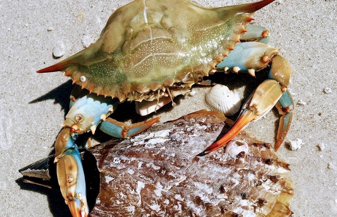 Photo of Others in Emerald Isle