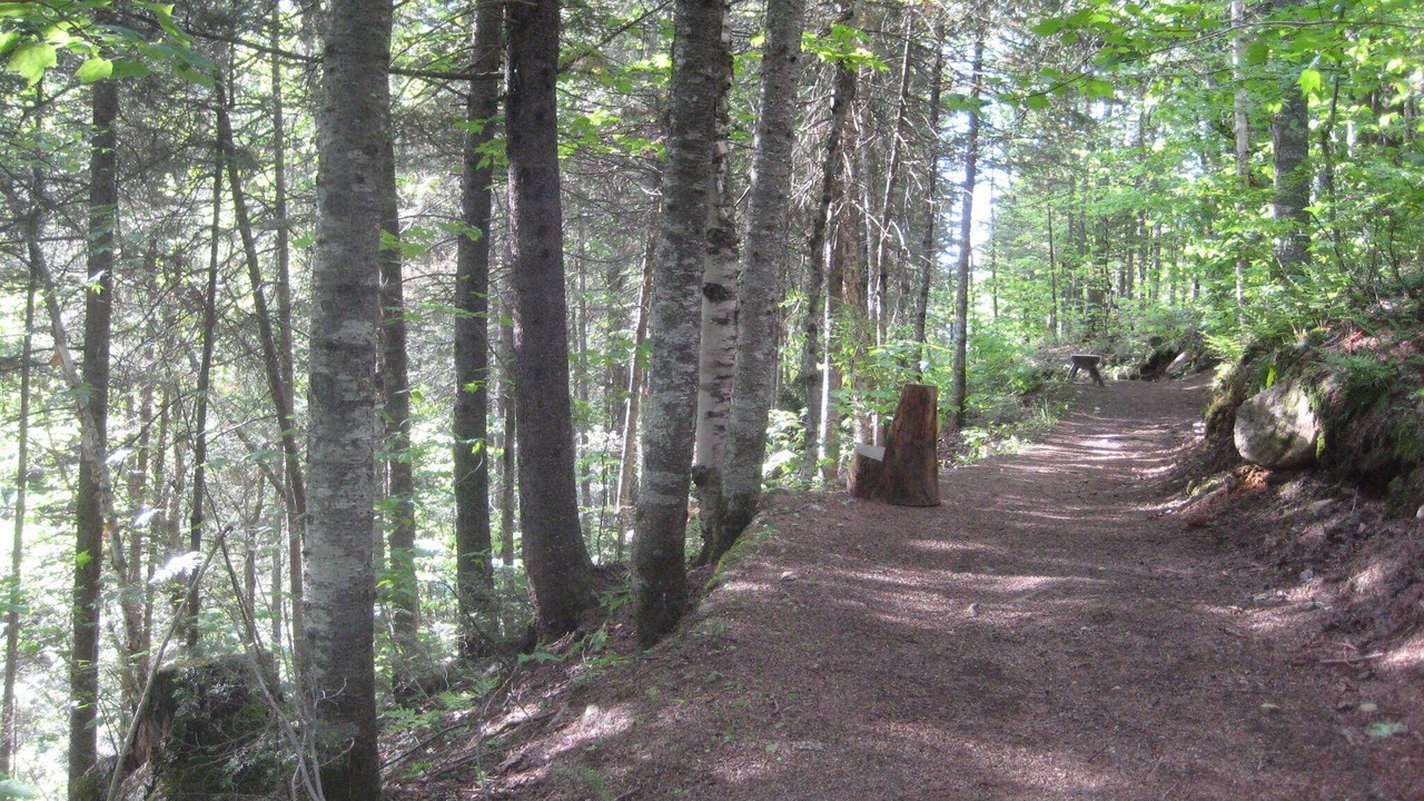 Photo of Others in Saint-Brigitte-de-Laval