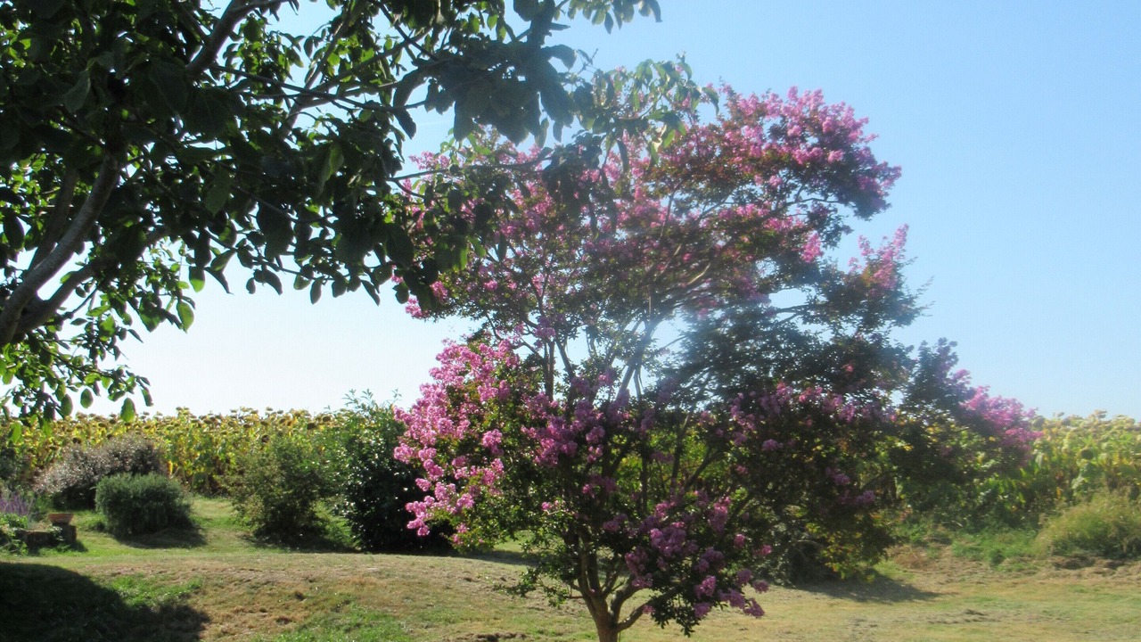 Photo of Outdoor in Villefranche-du-Queyran