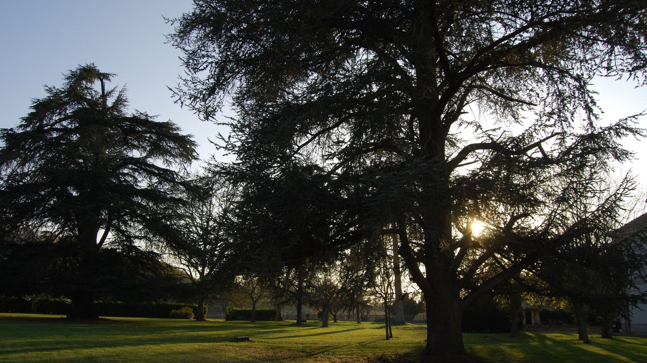 Photo of Others in Flaujagues