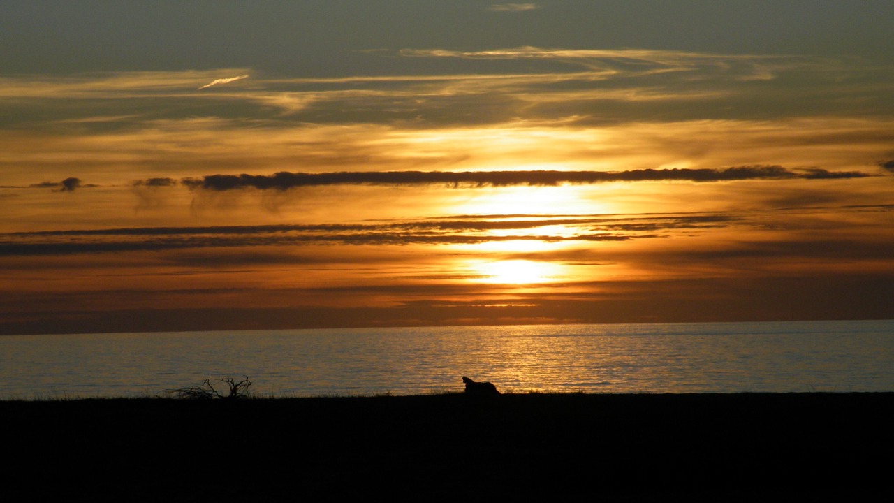 Photo of Others in Casaglione