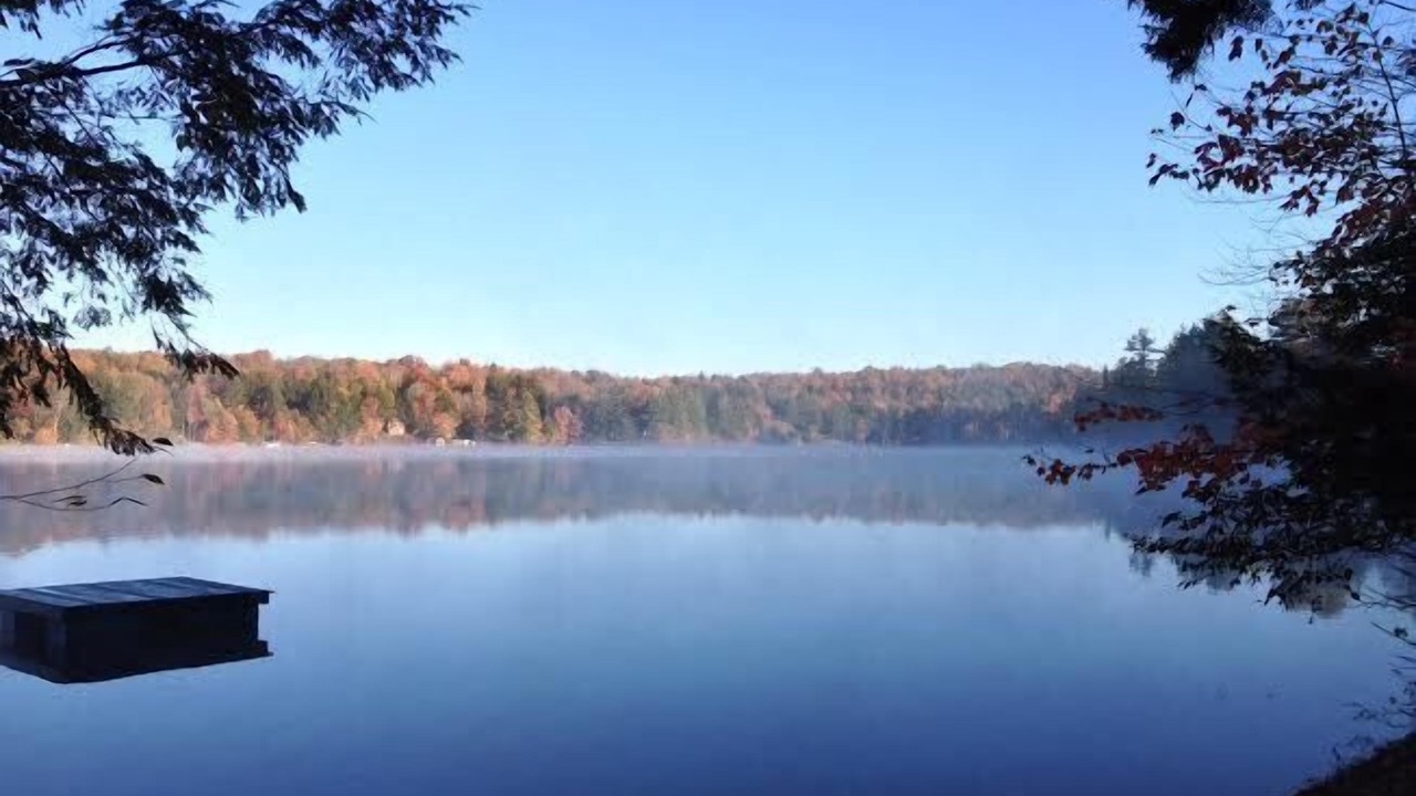 Photo of Outdoor in Woodgate