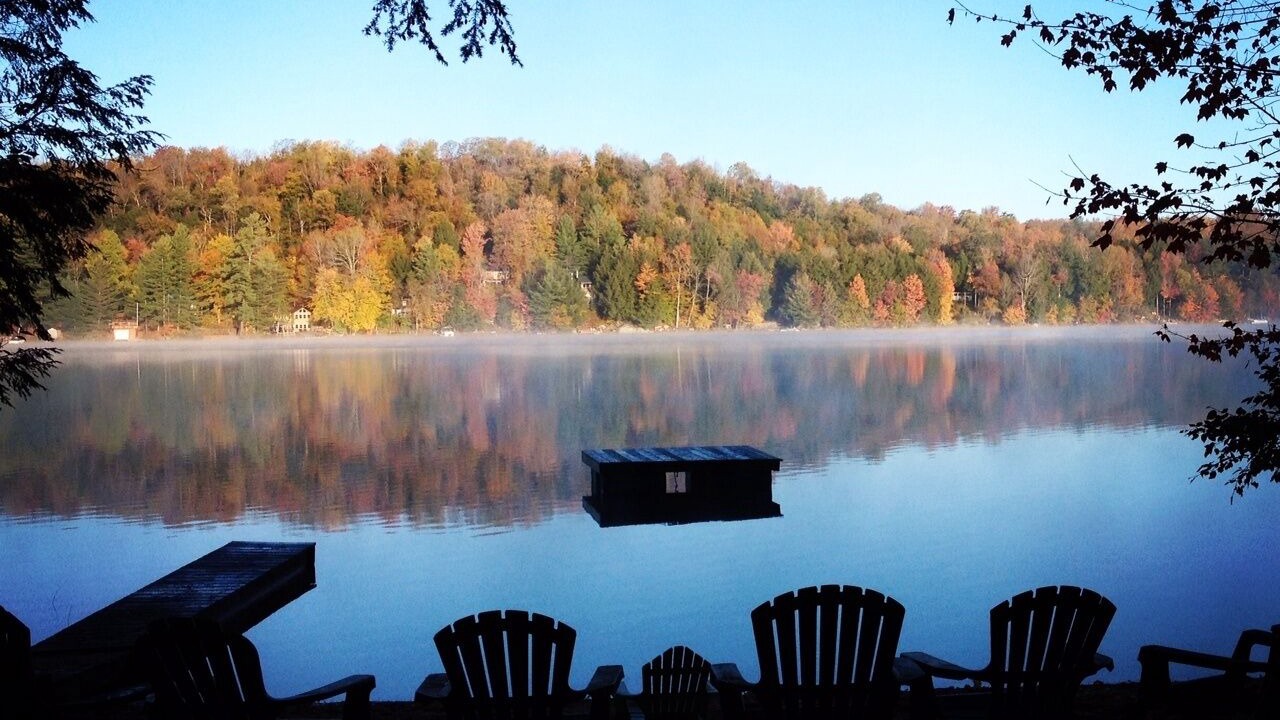 Photo of Others in Woodgate