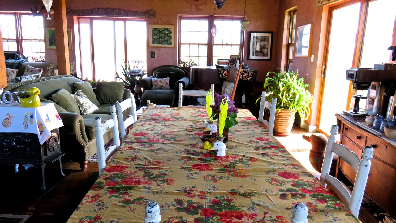 Photo of Others in Aquinnah