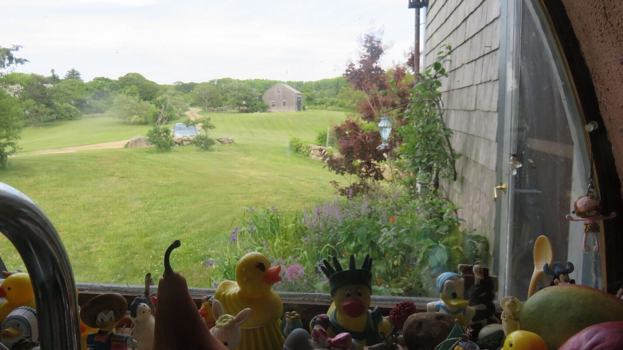 Photo of Others in Aquinnah