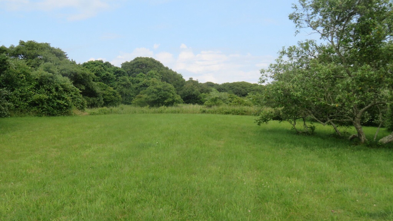 Photo of Others in Aquinnah