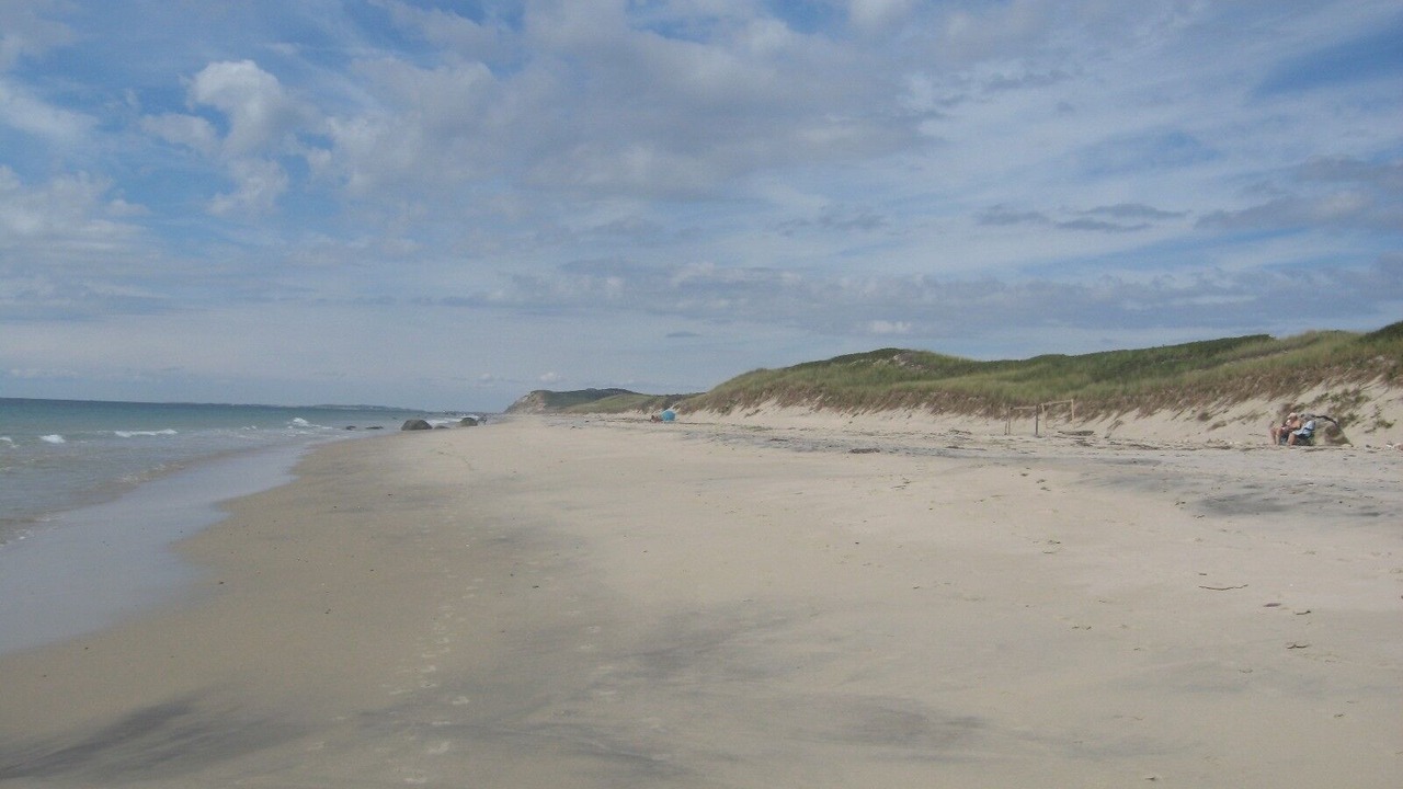 Photo of Others in Aquinnah