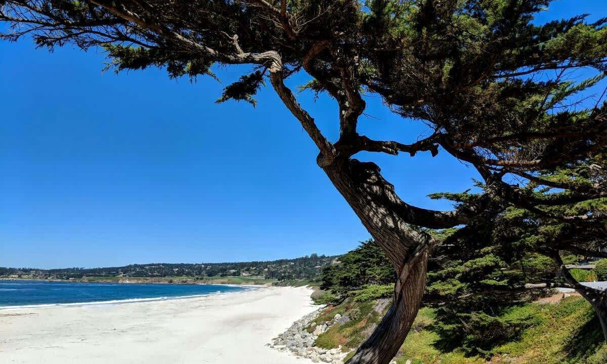 Photo of Others in Golden Rectangle