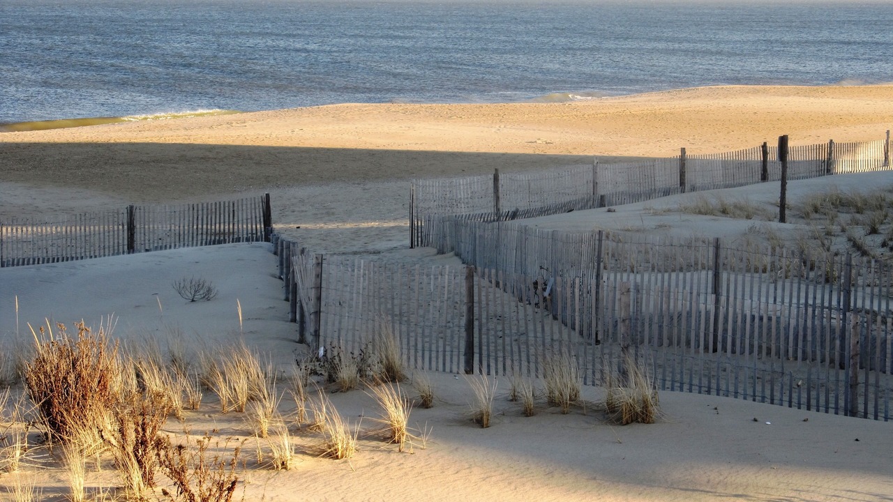 Photo of Others in Dewey Beach
