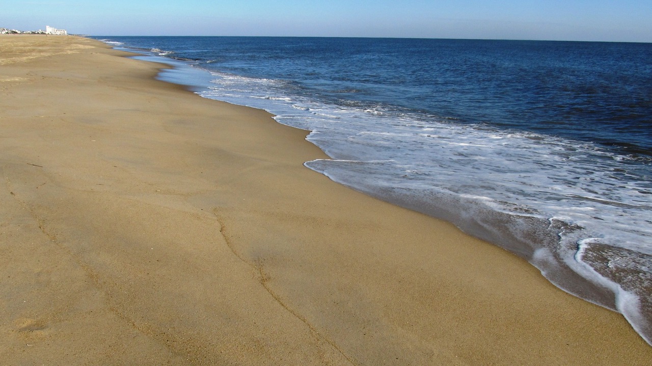 Photo of Others in Dewey Beach