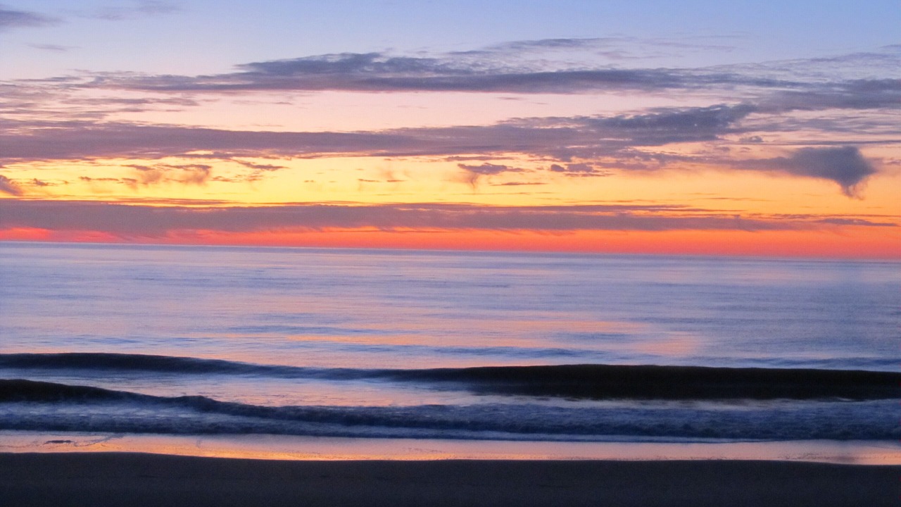 Photo of Others in Dewey Beach