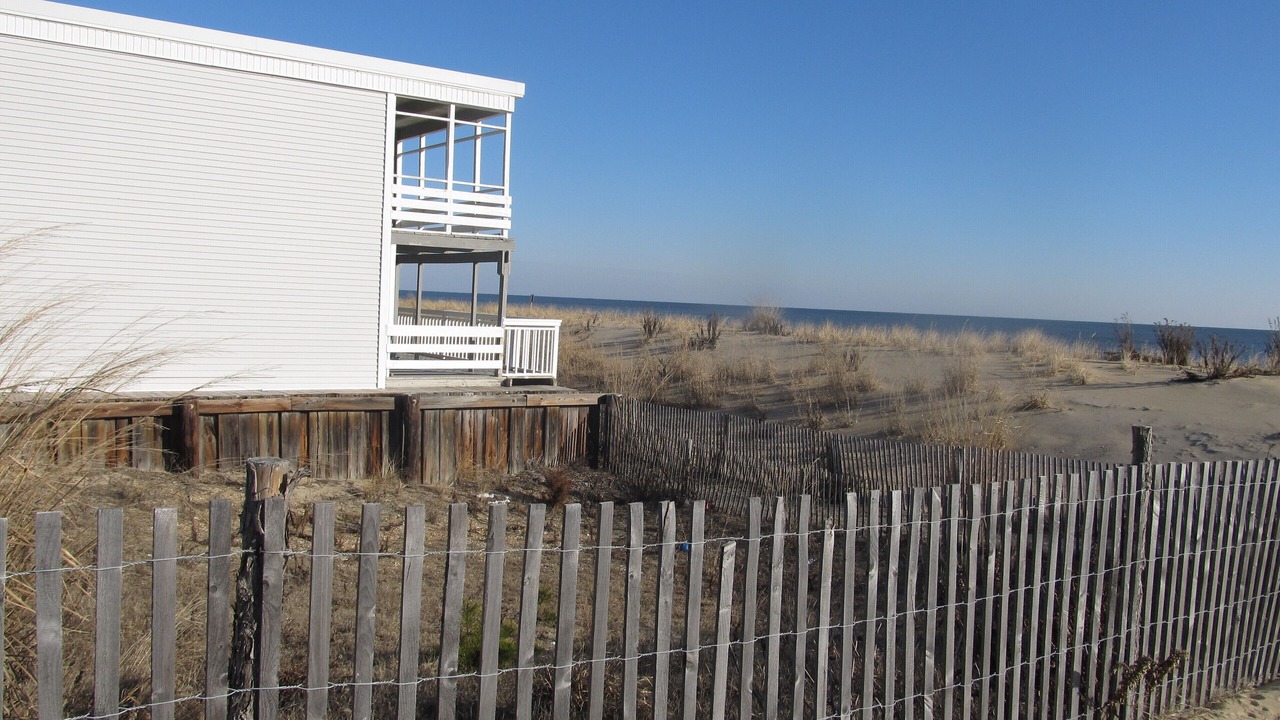 Photo of Others in Dewey Beach