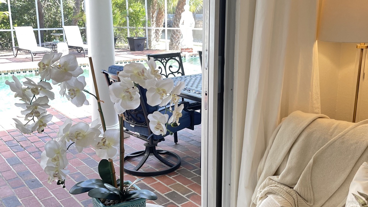 Photo of Livingroom in Siesta Key