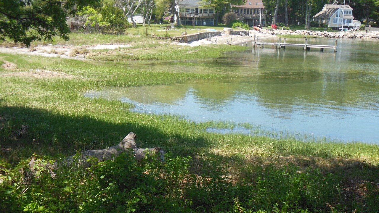 Photo of Others in North Kingstown