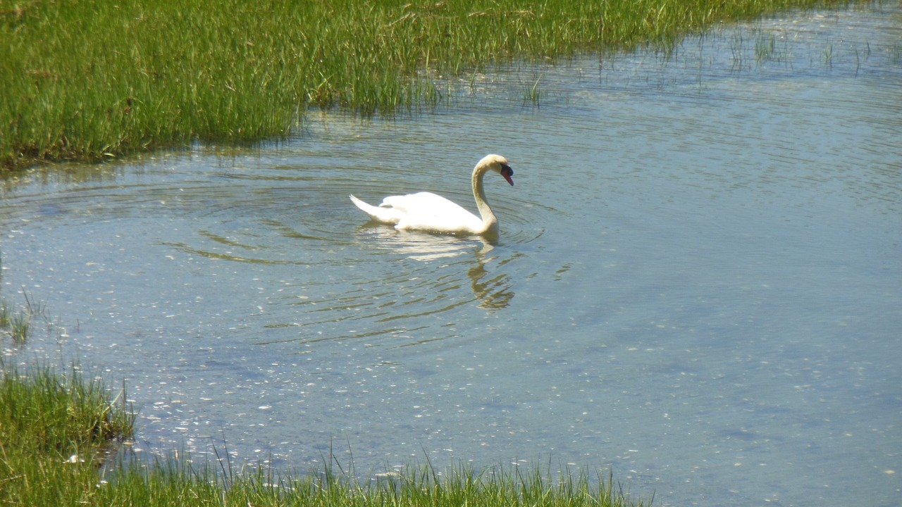 Photo of Others in North Kingstown