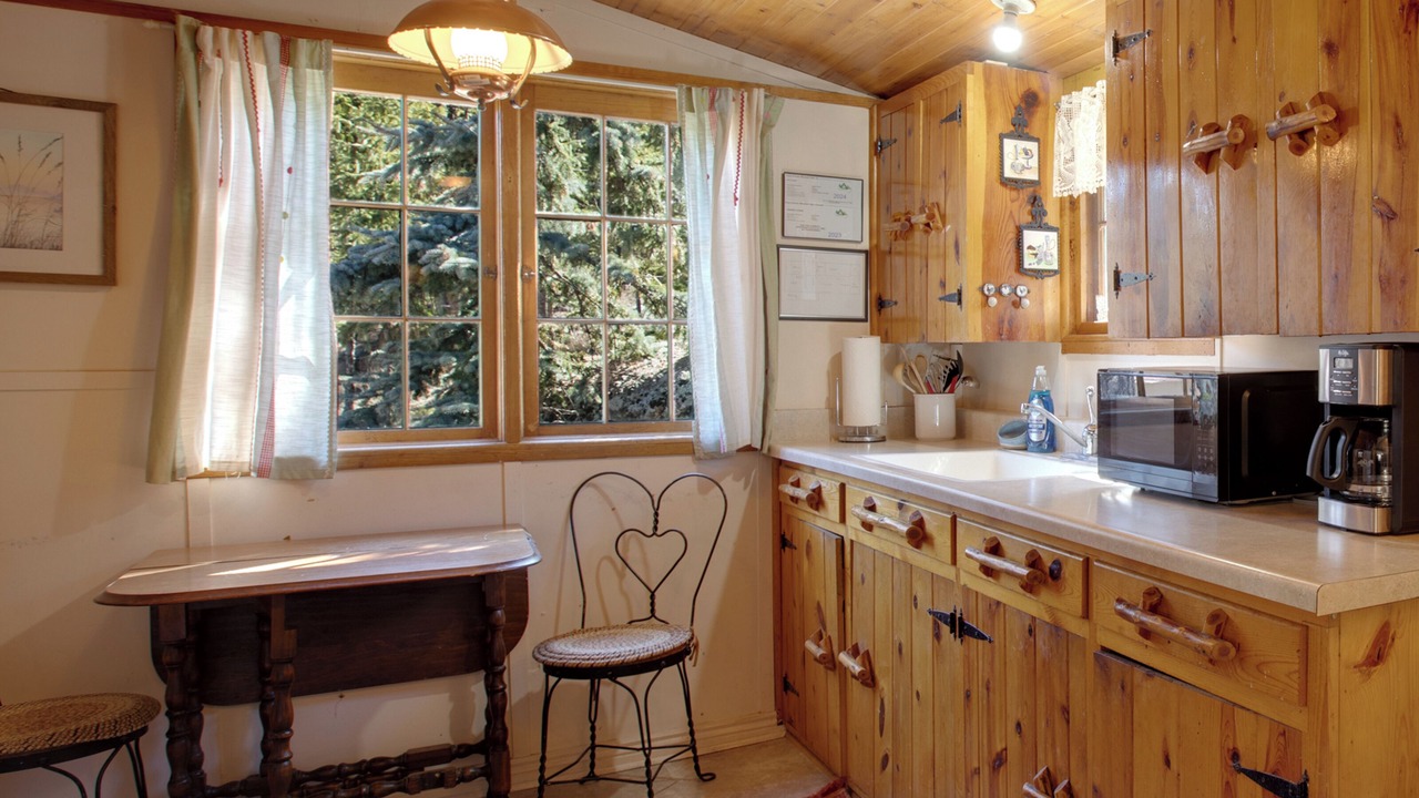 Photo of Kitchen in Woodland Park