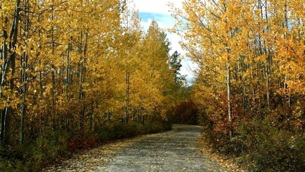 Photo of Others in Whitefish