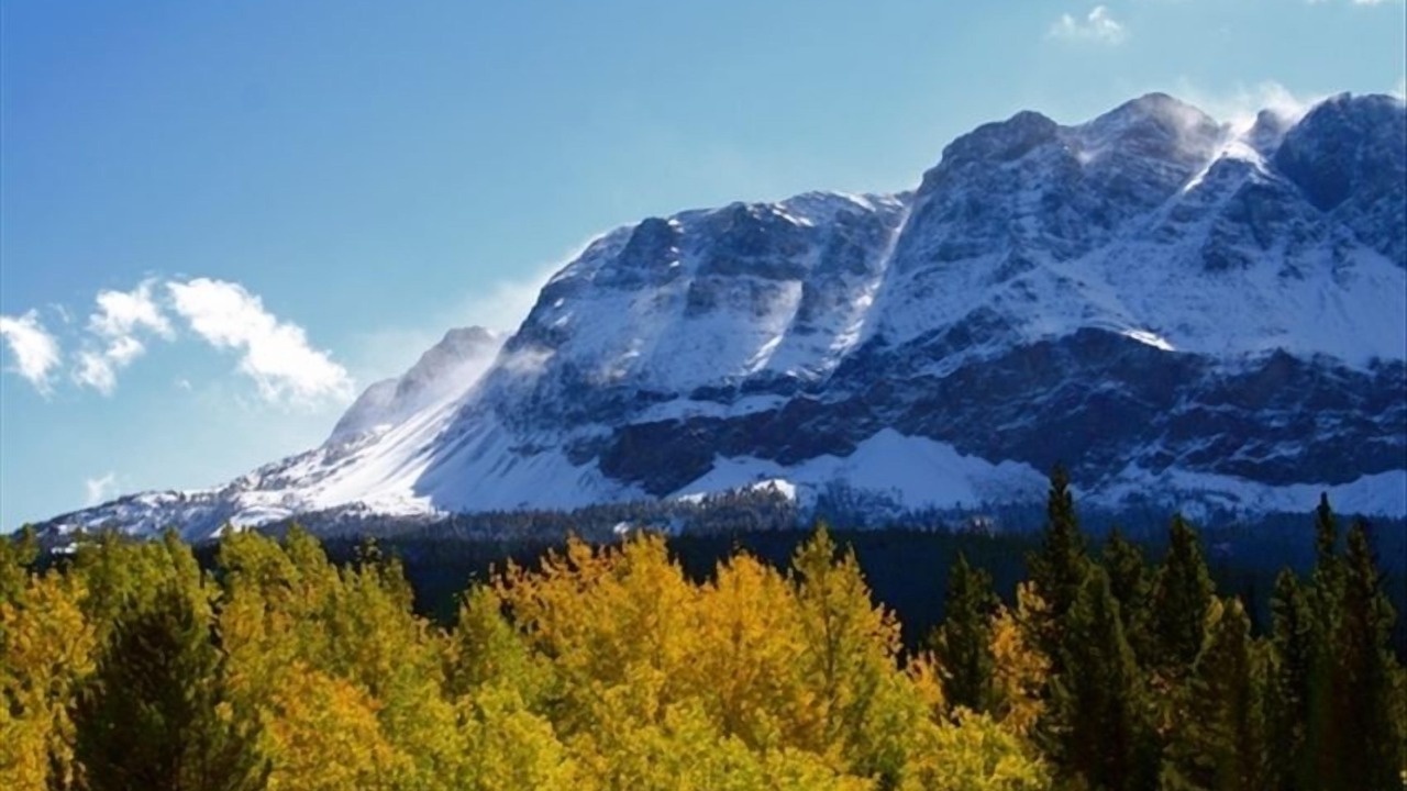 Photo of Others in Whitefish