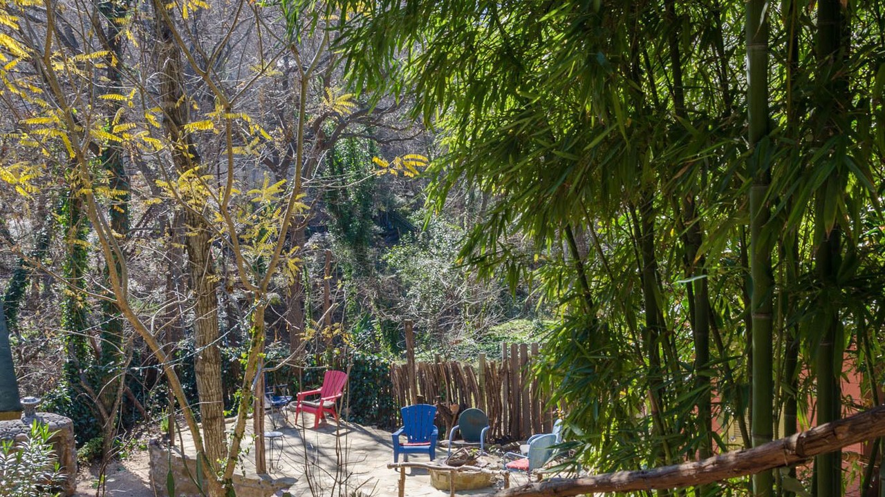 Photo of Others in Travis Heights