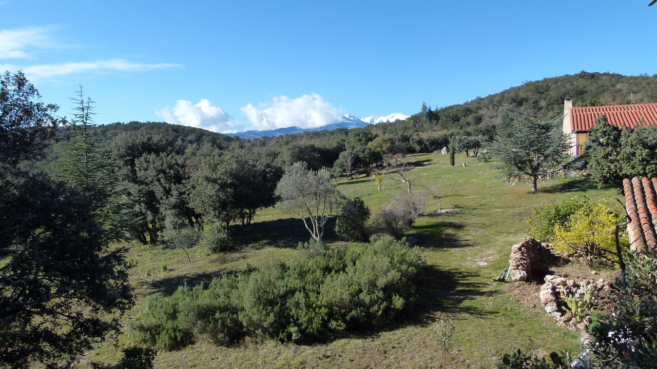 Photo of Outdoor in Llauro