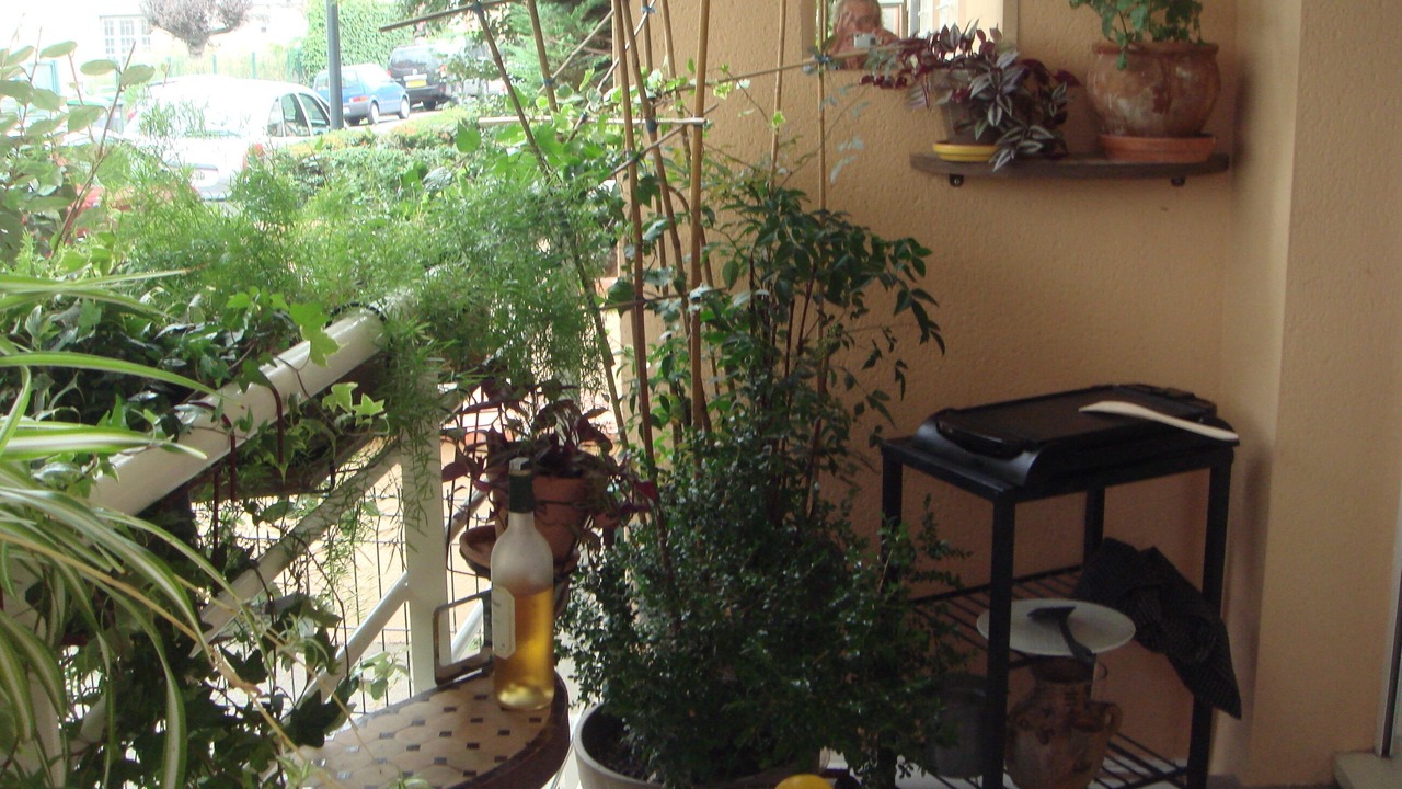 Photo of Outdoor in Le Busca