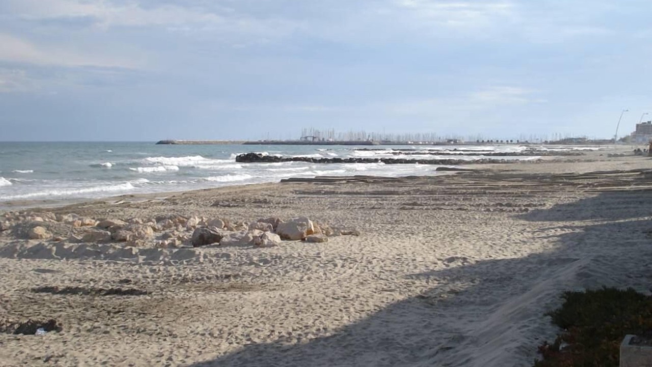 Photo of Others in Palavas-les-Flots