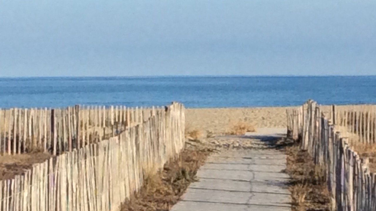 Photo of Others in Saint-Cyprien Plage