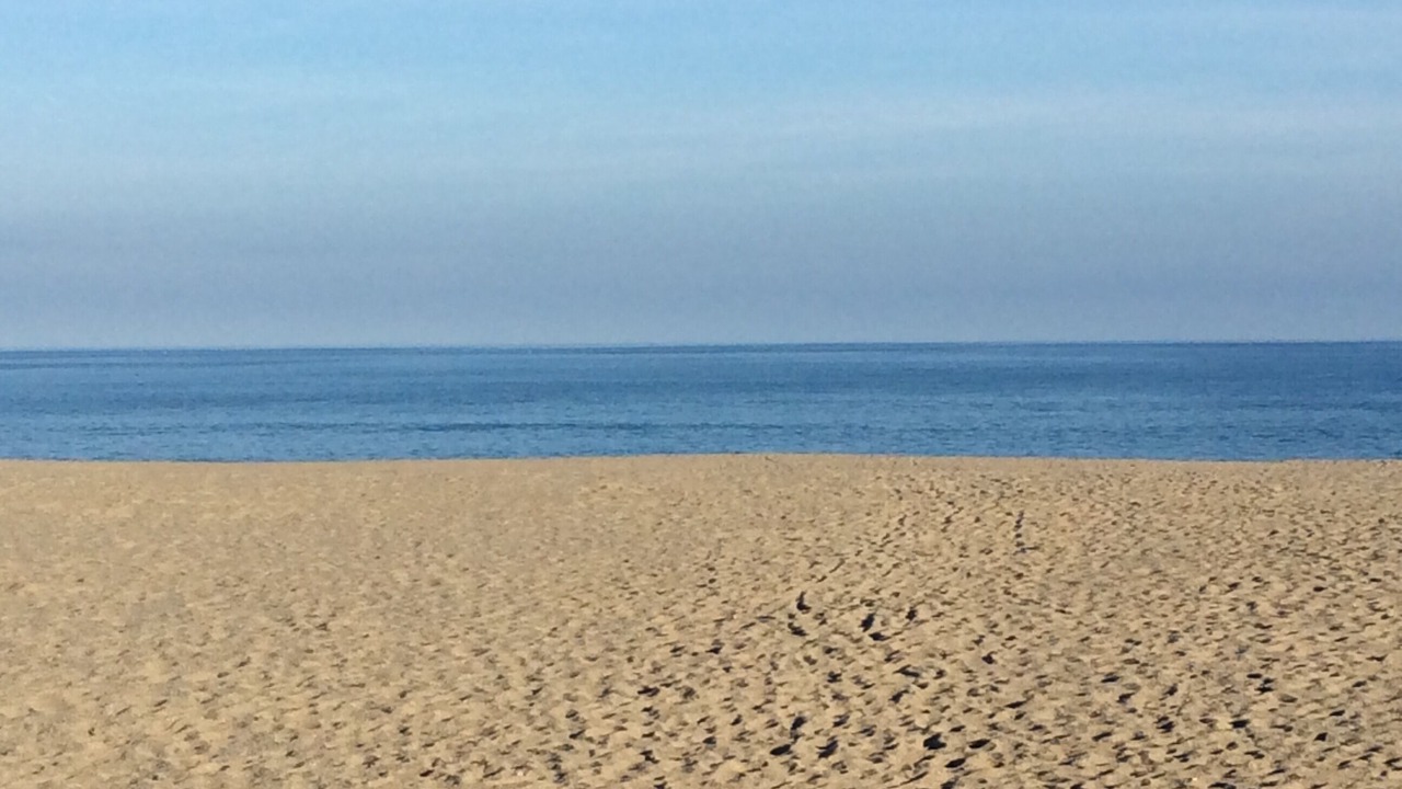 Photo of Others in Saint-Cyprien Plage