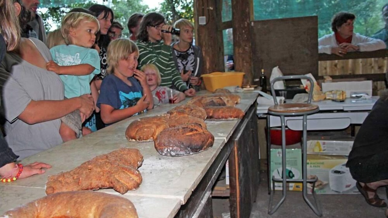 Photo of Others in Escaro