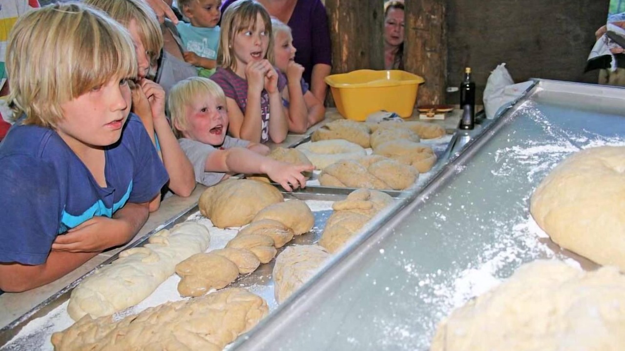 Photo of Others in Escaro