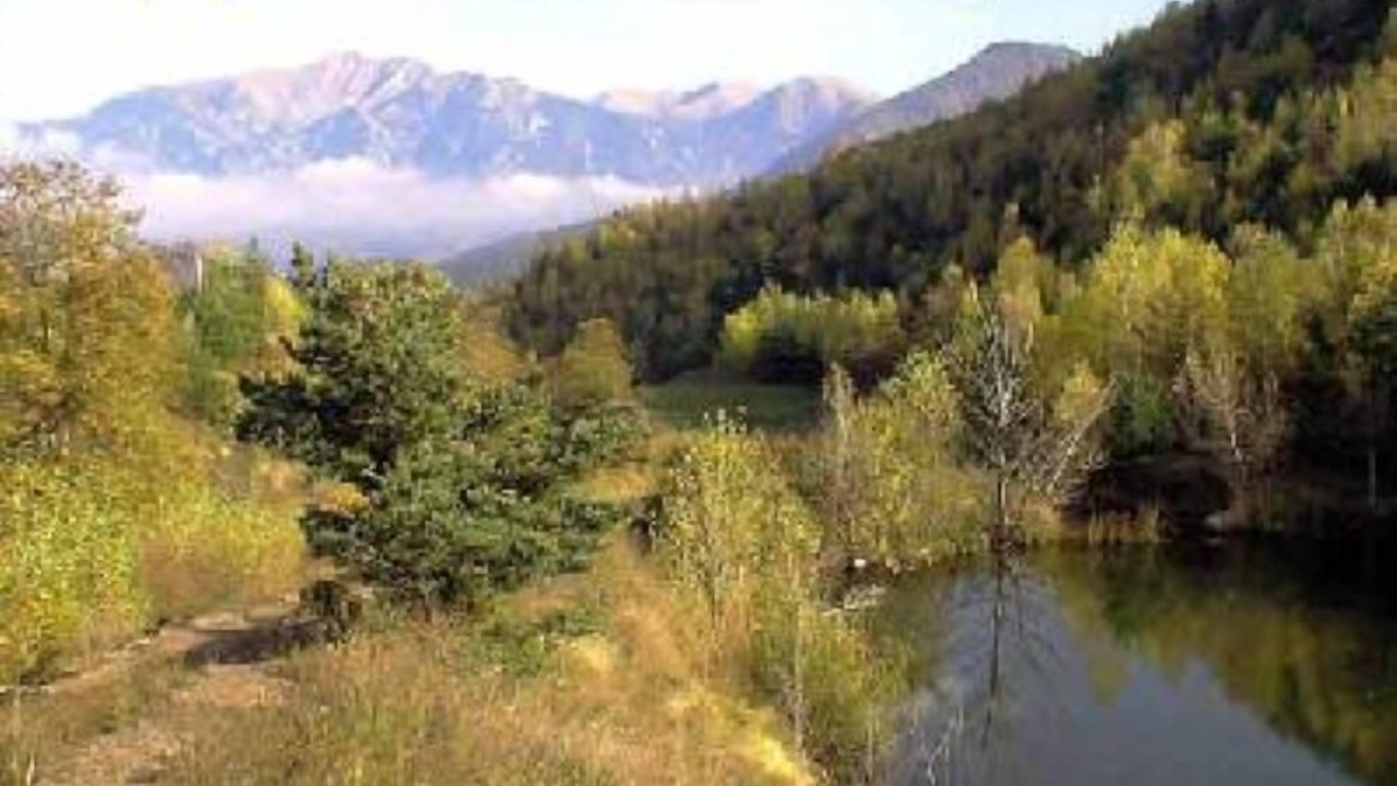 Photo of Others in Escaro