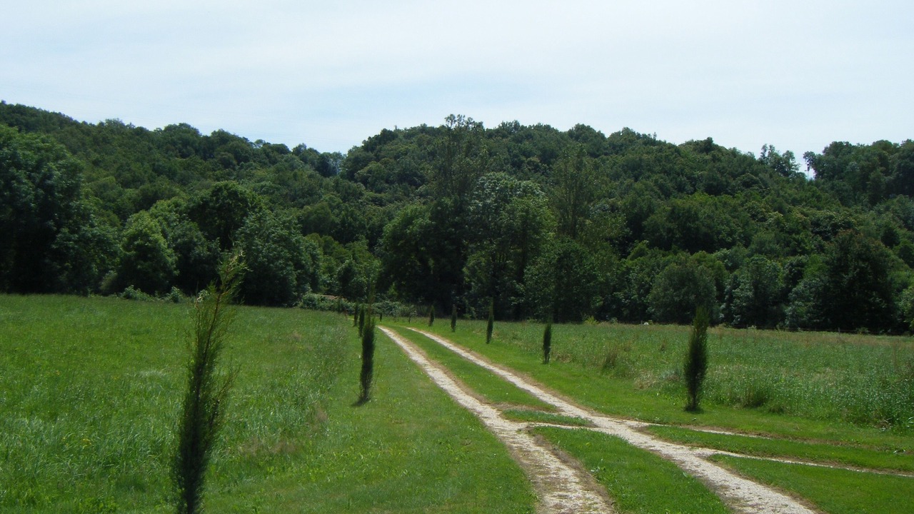 Photo of Outdoor in Arne