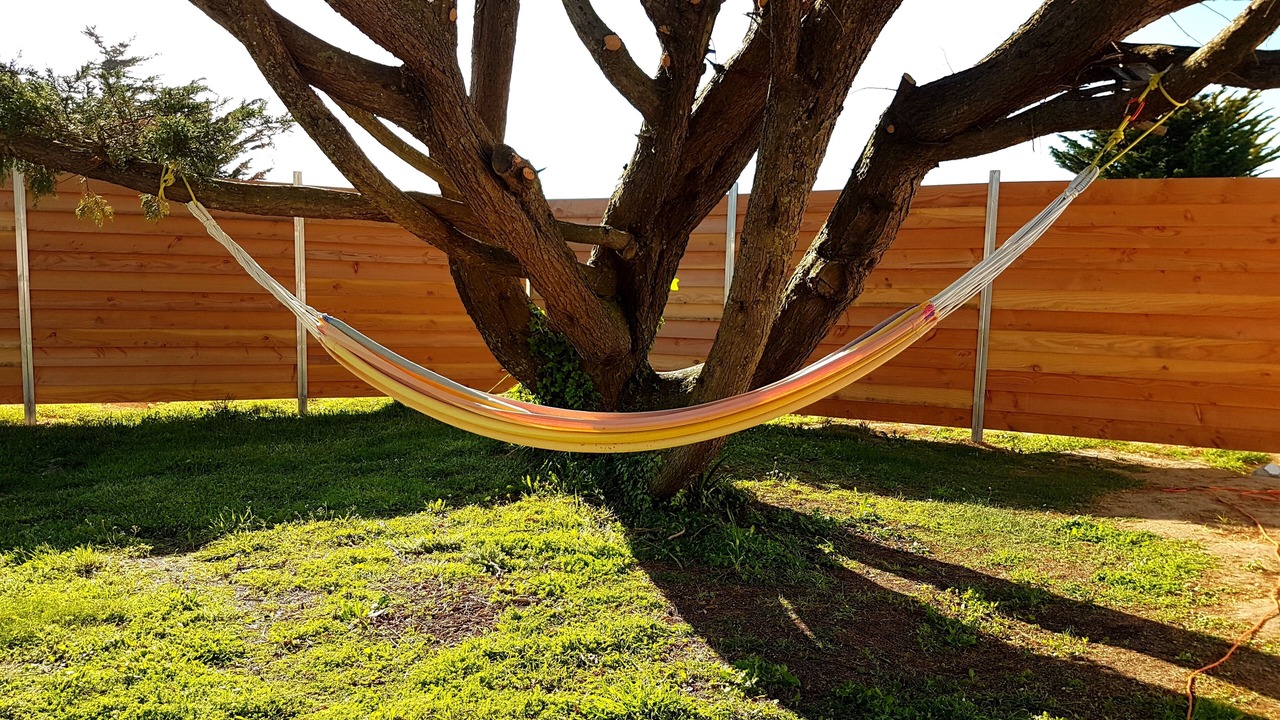 Photo of Outdoor in Saint-Clement-des-Baleines