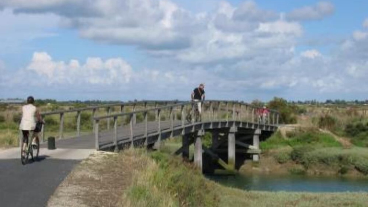 Photo of Others in Saint-Clement-des-Baleines
