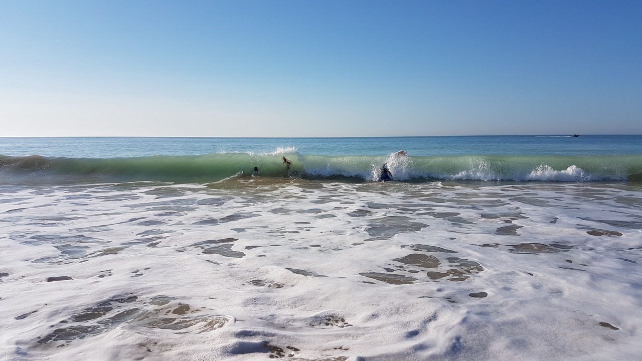 Photo of Others in Saint-Clement-des-Baleines