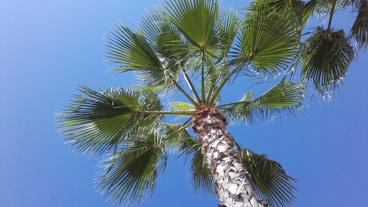 Photo of Outdoor in Caserio Los Tarquinos