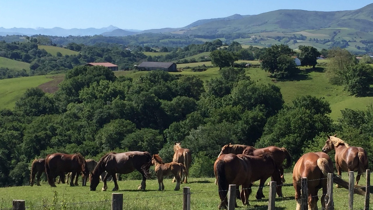 Photo of Outdoor in Briscous