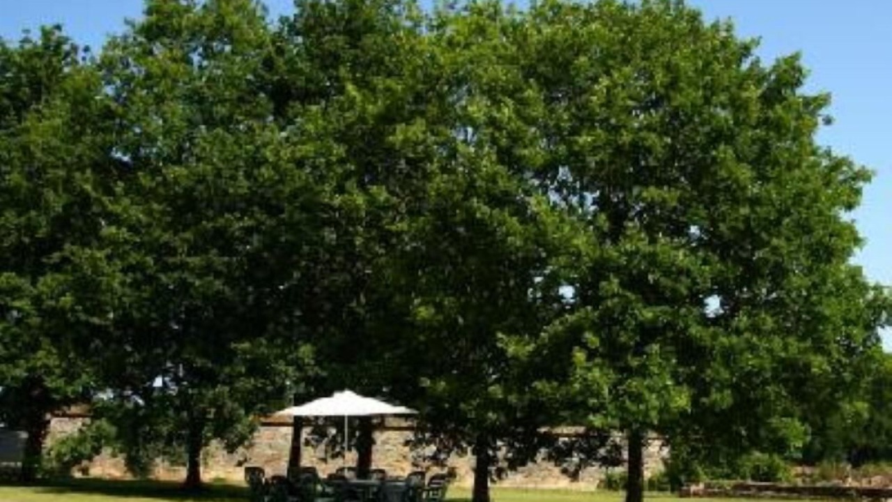Photo of Outdoor in Saint-Just
