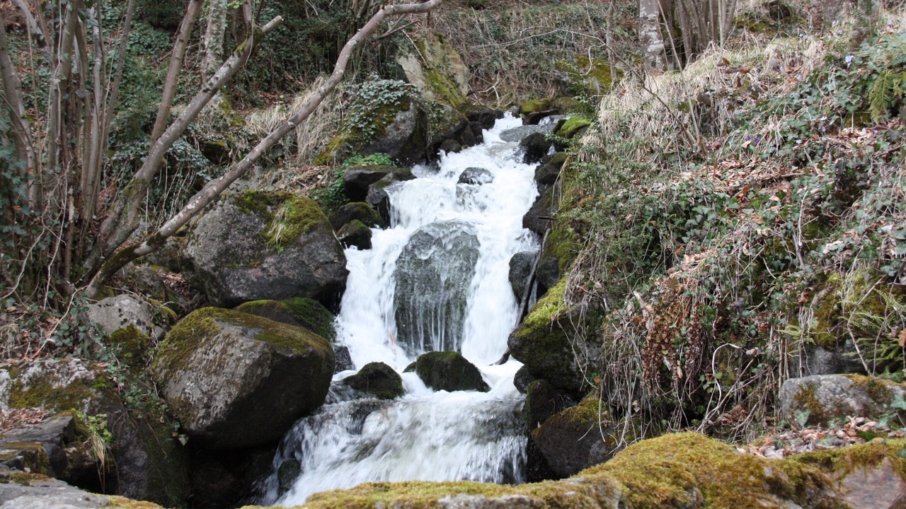 Photo of Outdoor in Illier-et-Laramade
