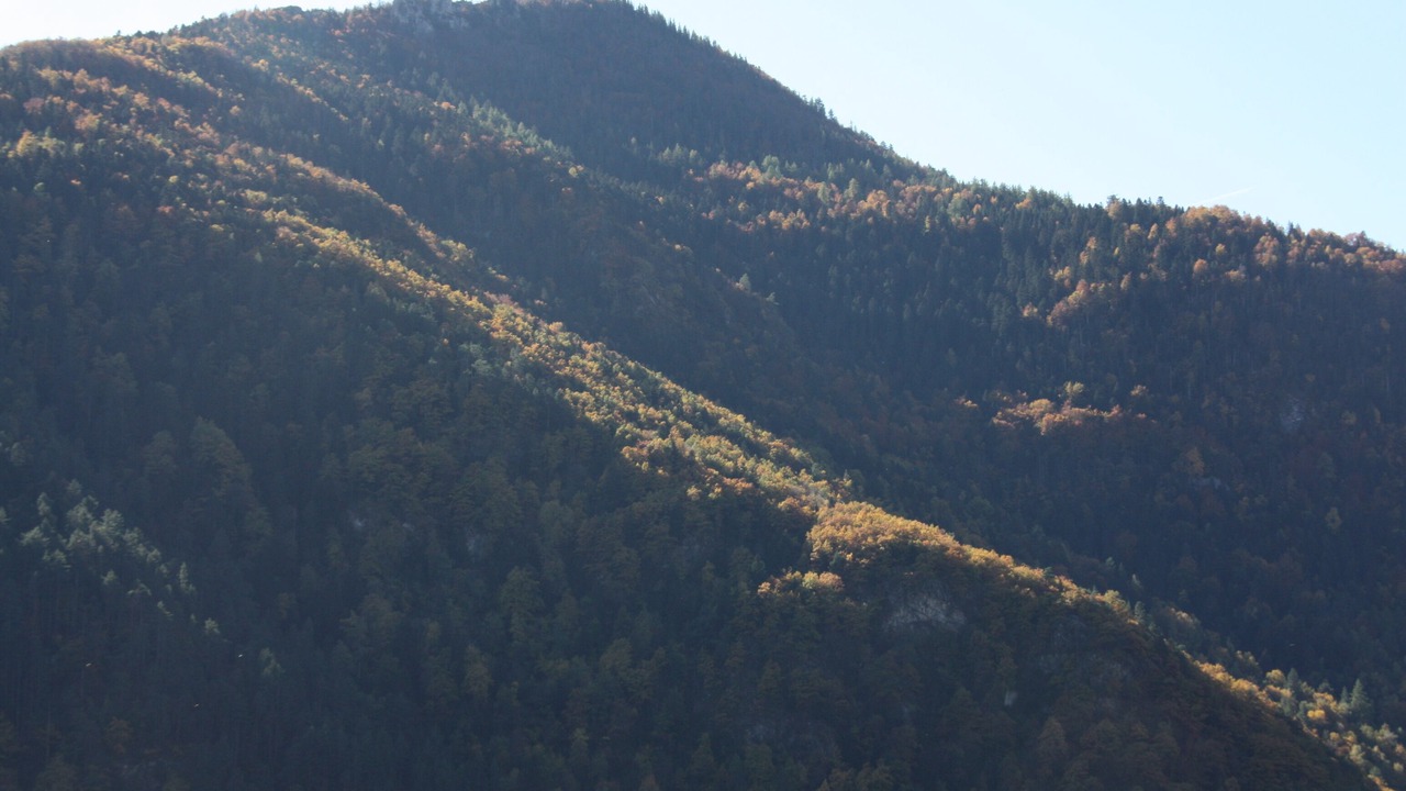 Photo of Others in Illier-et-Laramade